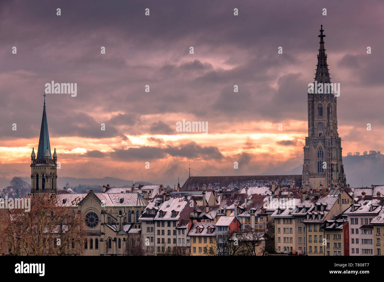 Berner munster hi-res stock photography and images - Alamy