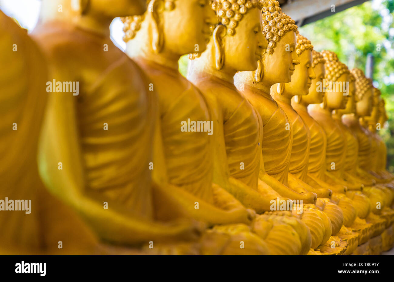 A row of seated Buddhas at the Big Buddha complex (The Great Buddha) in Phuket, Thailand, Southeast Asia, Asia Stock Photo