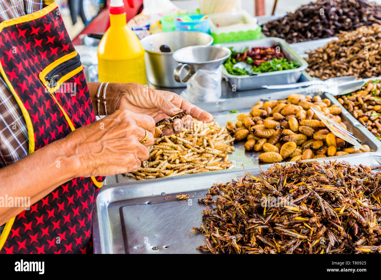 A market stall holder preparing an insect barbecue at Wat Chalong Temple in Phuket, Thailand, Southeast Asia, Asia Stock Photo
