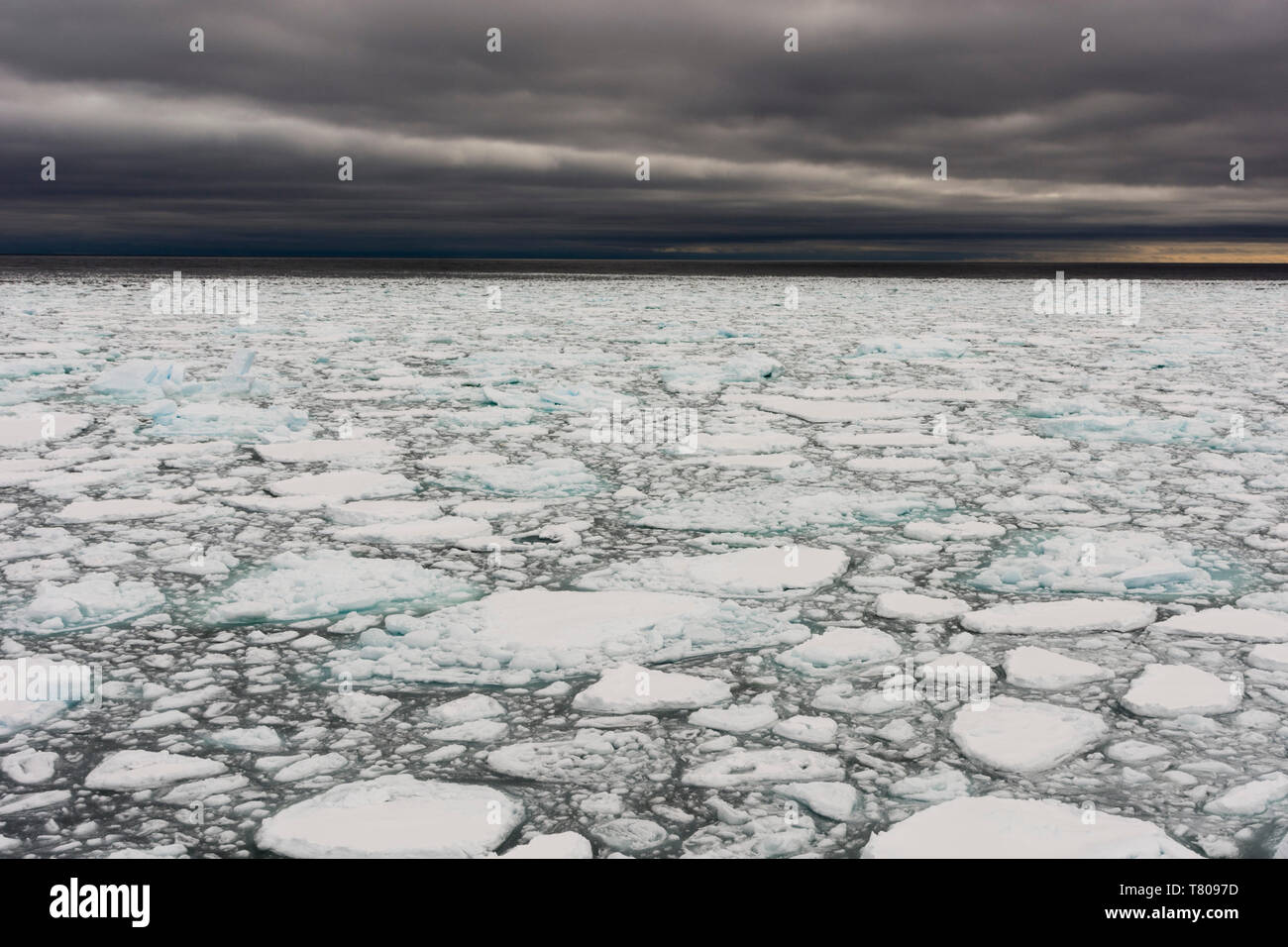 A view of the melting sea ice on the Arctic Ocean at 81 degrees, north of the Svalbard islands, Arctic, Norway, Europe Stock Photo
