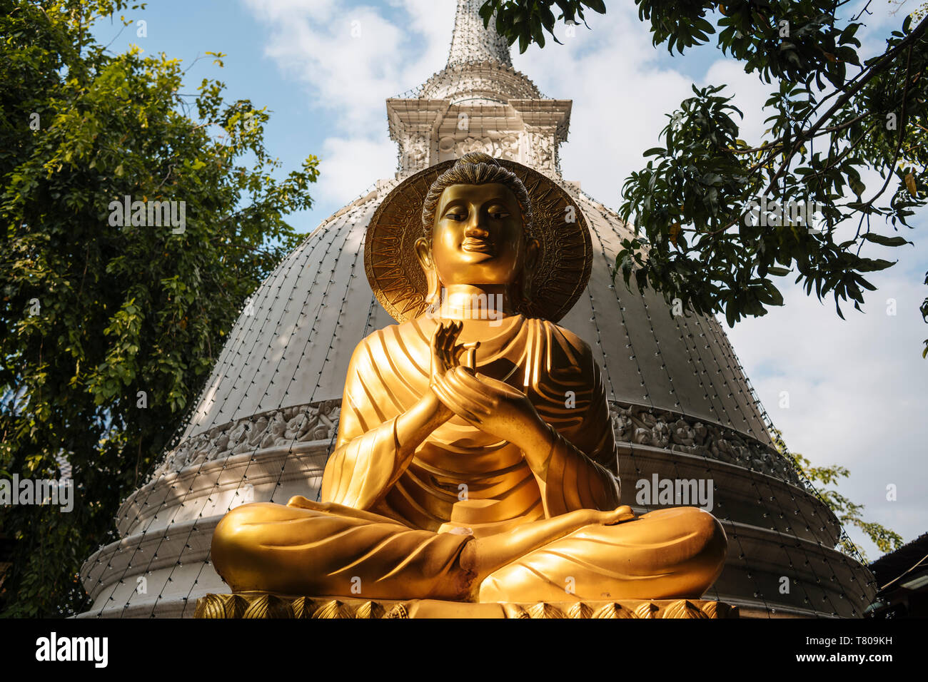 Buddha statue, Gangaramaya Temple, Colombo, Western Province, Sri Lanka, Asia Stock Photo