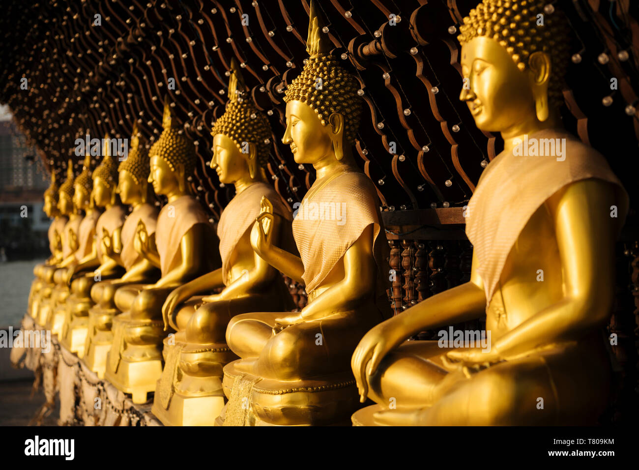 Buddha statues, Seema Malakaya Temple, Colombo, Western Province, Sri Lanka, Asia Stock Photo