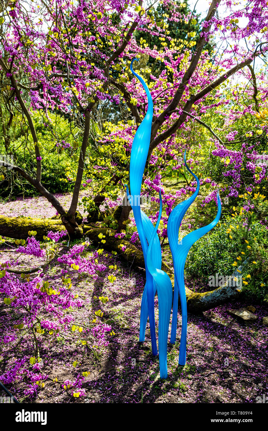 4th May 2019 - Part of 'Neodymium Reeds and Turquoise Marlins' by Dale Chihuly glass sculpture as part of temporary exhibition at Kew Gardens, London Stock Photo