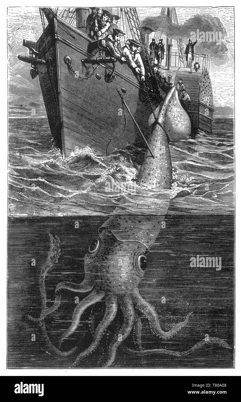 Giant Squid Attacking Ship, 1893 Stock Photo