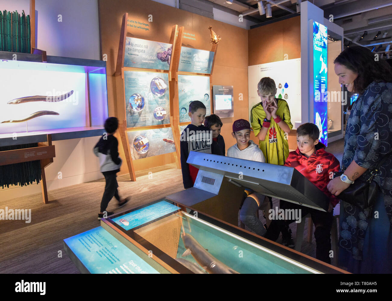 190509) -- WELLINGTON, May 9, 2019 (Xinhua) -- Visitors play a 3D game of  eels' migration at Te Papa, the national museum of New Zealand, in  Wellington, New Zealand, May 9, 2019.