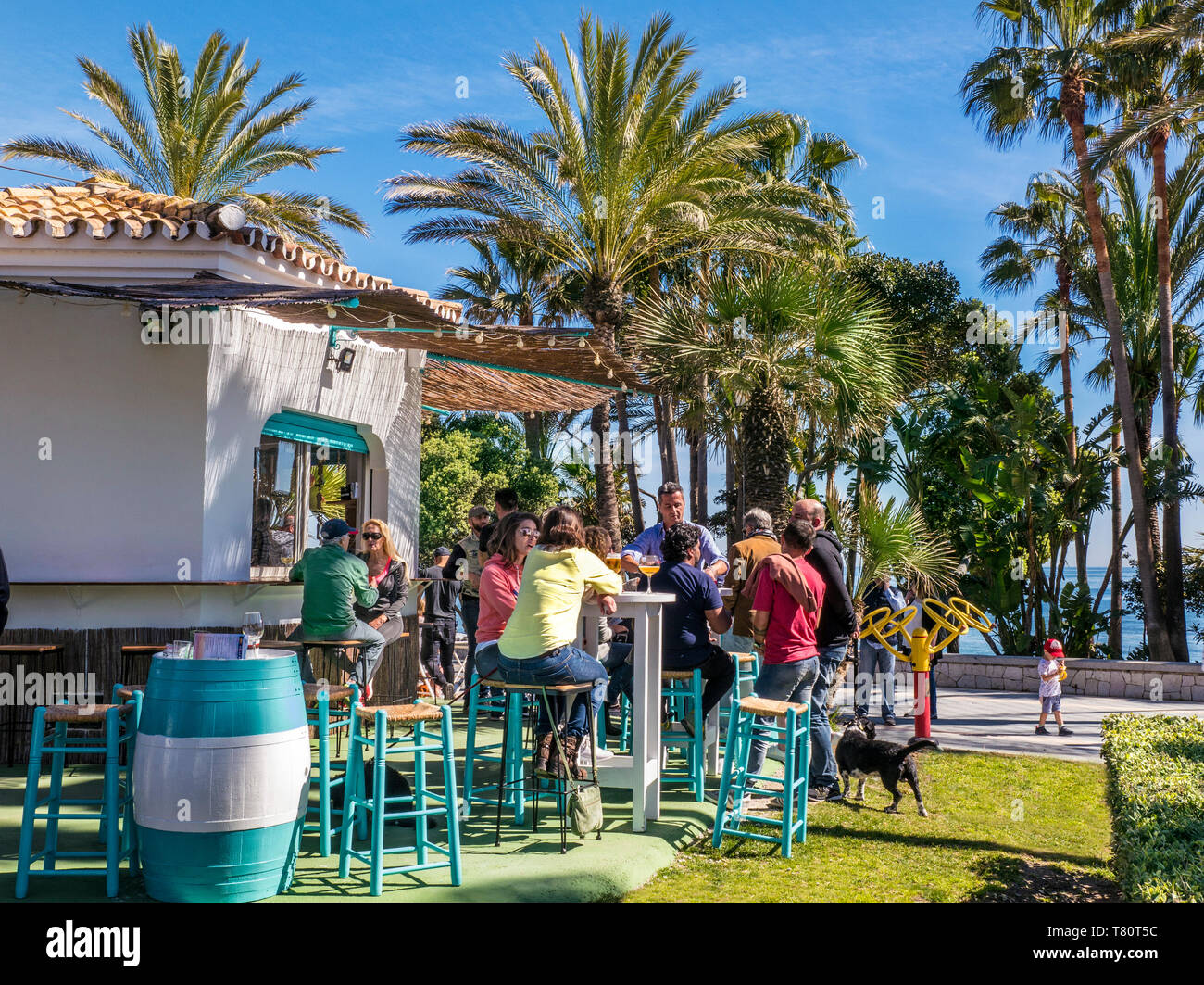 Marbella alfresco tapas drinks beach bar in verdant oasis surrounded by palm trees with Mediterranean sea behind Costa del Sol Marbella Malaga Spain Stock Photo