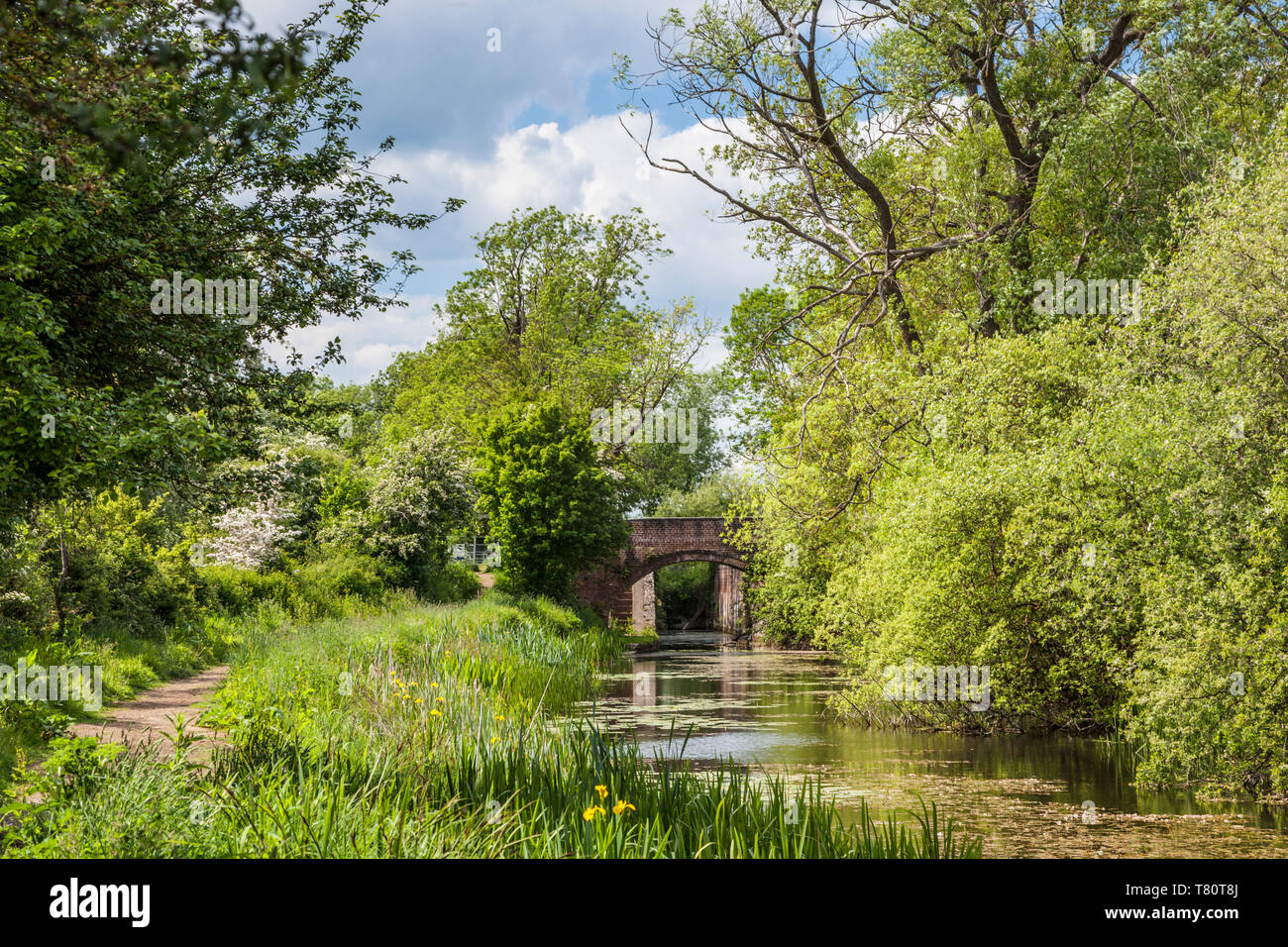 A brick built bridge over the Thames and Severn Canal near South Cerney, Gloucestershire. Stock Photo