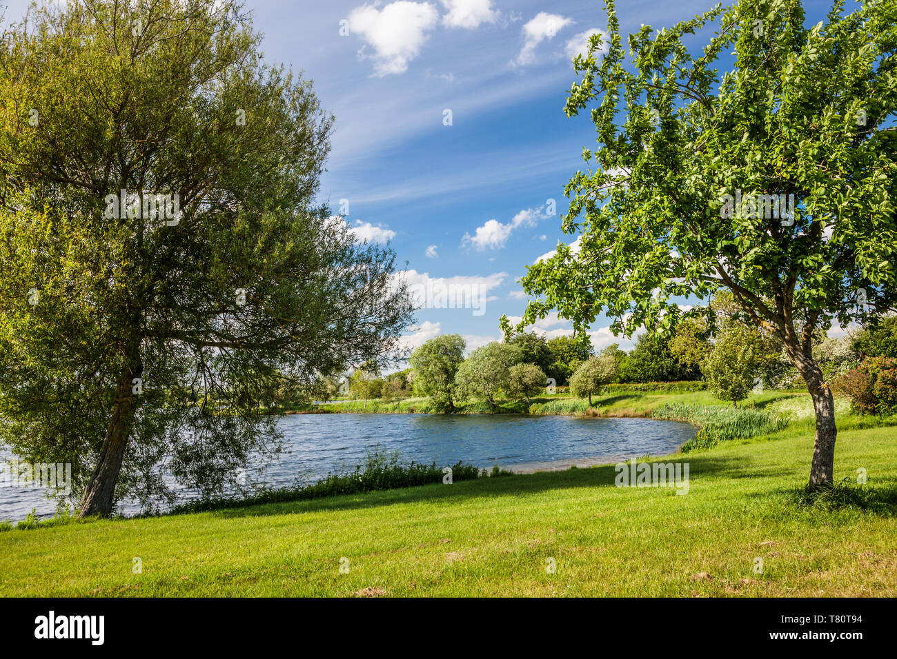 One of the lakes at Cotswold Water Park near Cerney Wick in Gloucestershire. Stock Photo