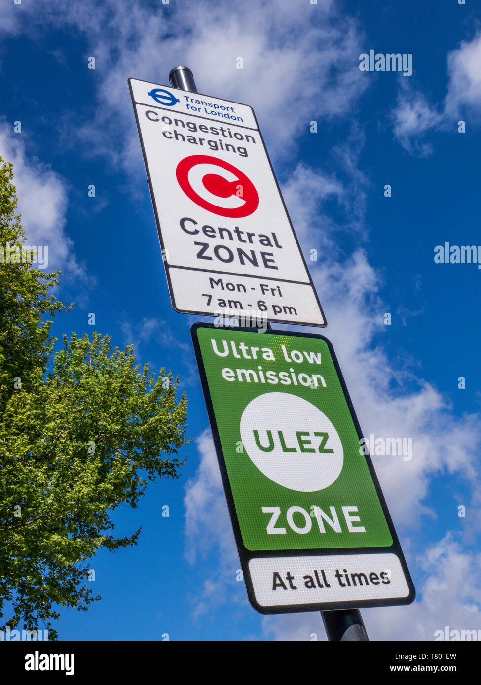 'ULEZ' TFL congestion/emission charging central London zone sign with 'ULEZ' ultra low zone sign against blue sky with tree in fresh green leaf  SE11 Stock Photo