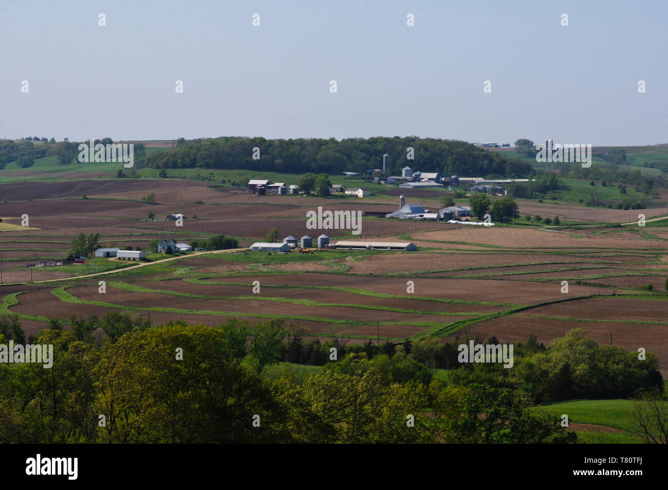 Rickardson, Iowa. Rural scene with many farms Stock Photo Alamy