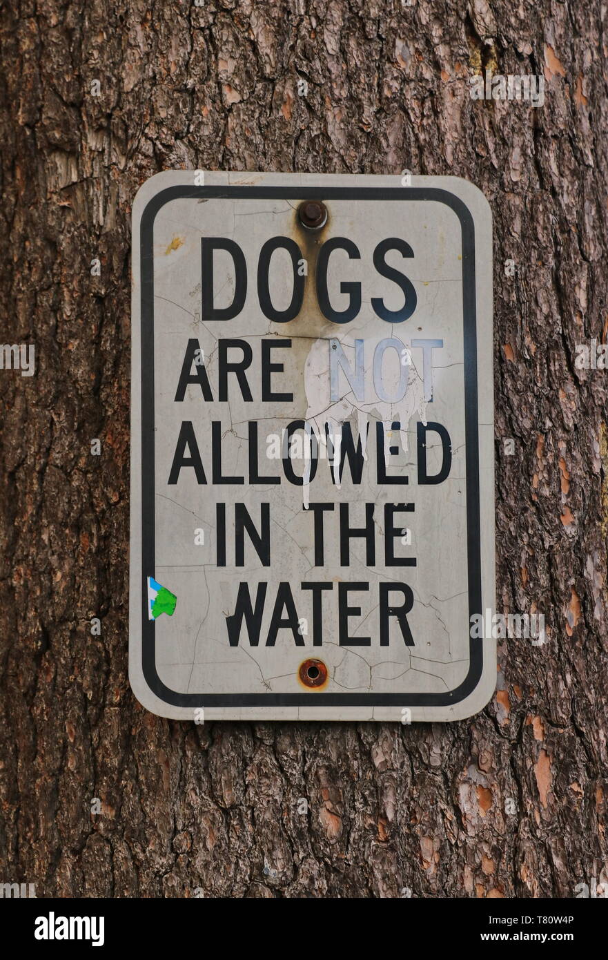 Dogs allowed on trail hires stock photography and images Alamy