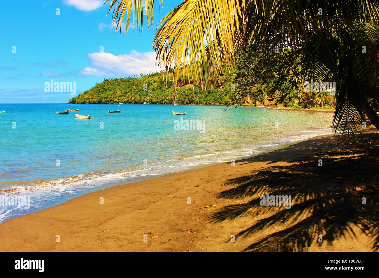 A typical secluded beach on the Caribbean island of St Vincent. Stock Photo