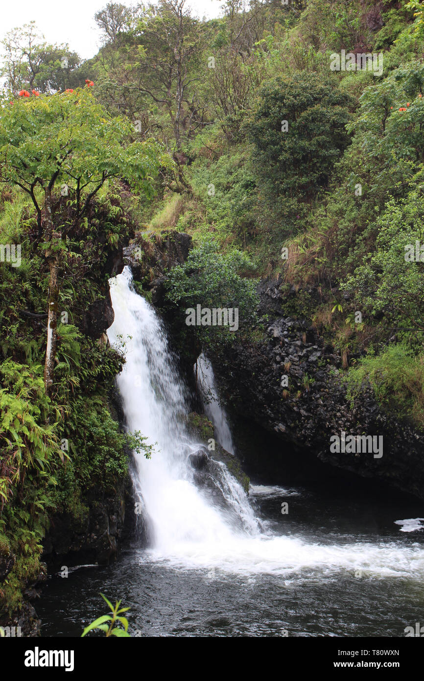Double Waterfall In A Rainforest On The Road To Hana In Maui Hawaii double-waterfall-in-a-rainforest-on-the-road-to-hana-in-maui-hawaii