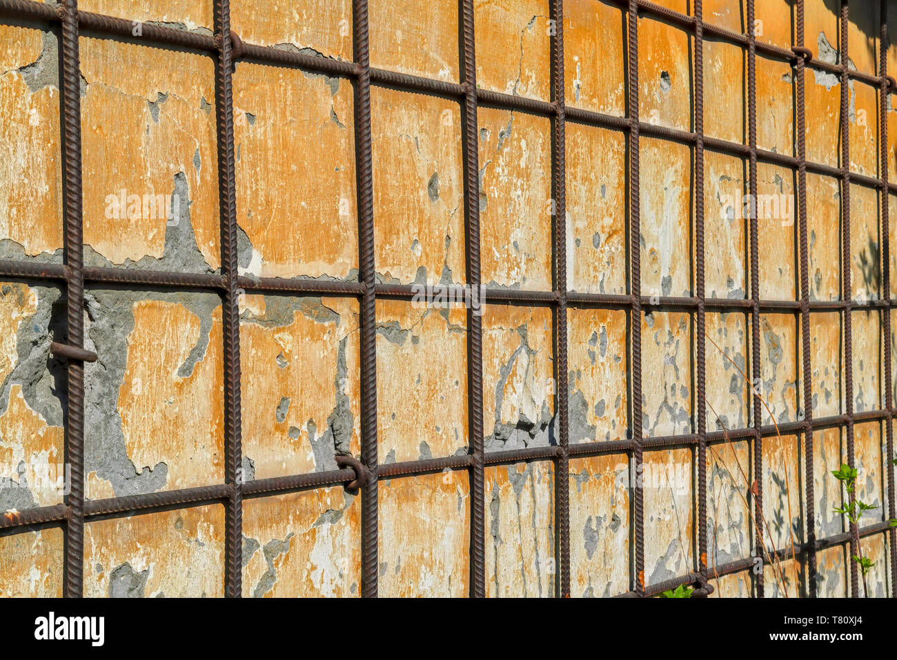 Curated visual reference: Fresh Look at The Texture Of A Yellow Old Plastered Wall Covered With