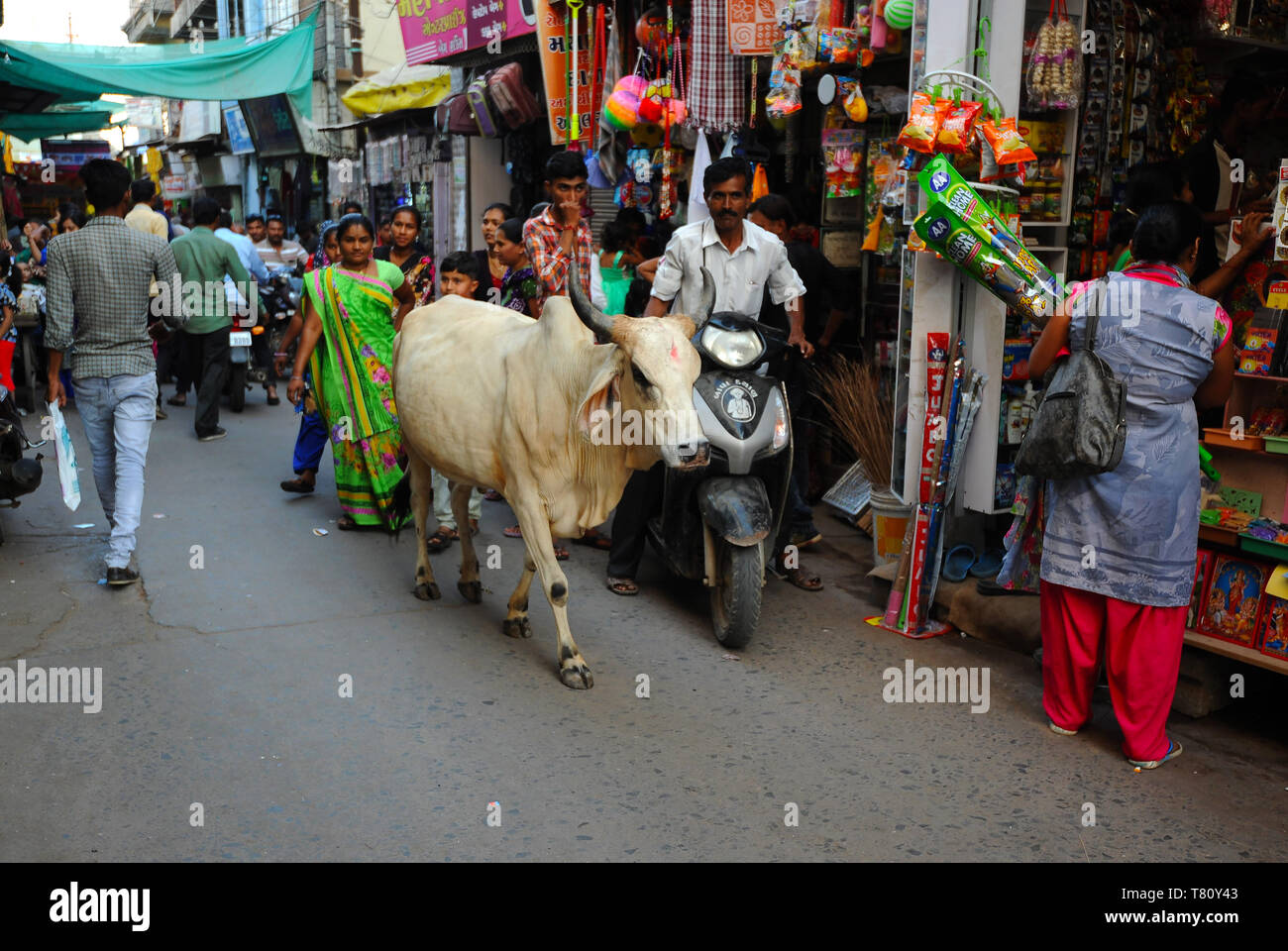 Busy shopping street in the market, with sacred cow, Mandvi, Gujarat, India, Asia Stock Photo