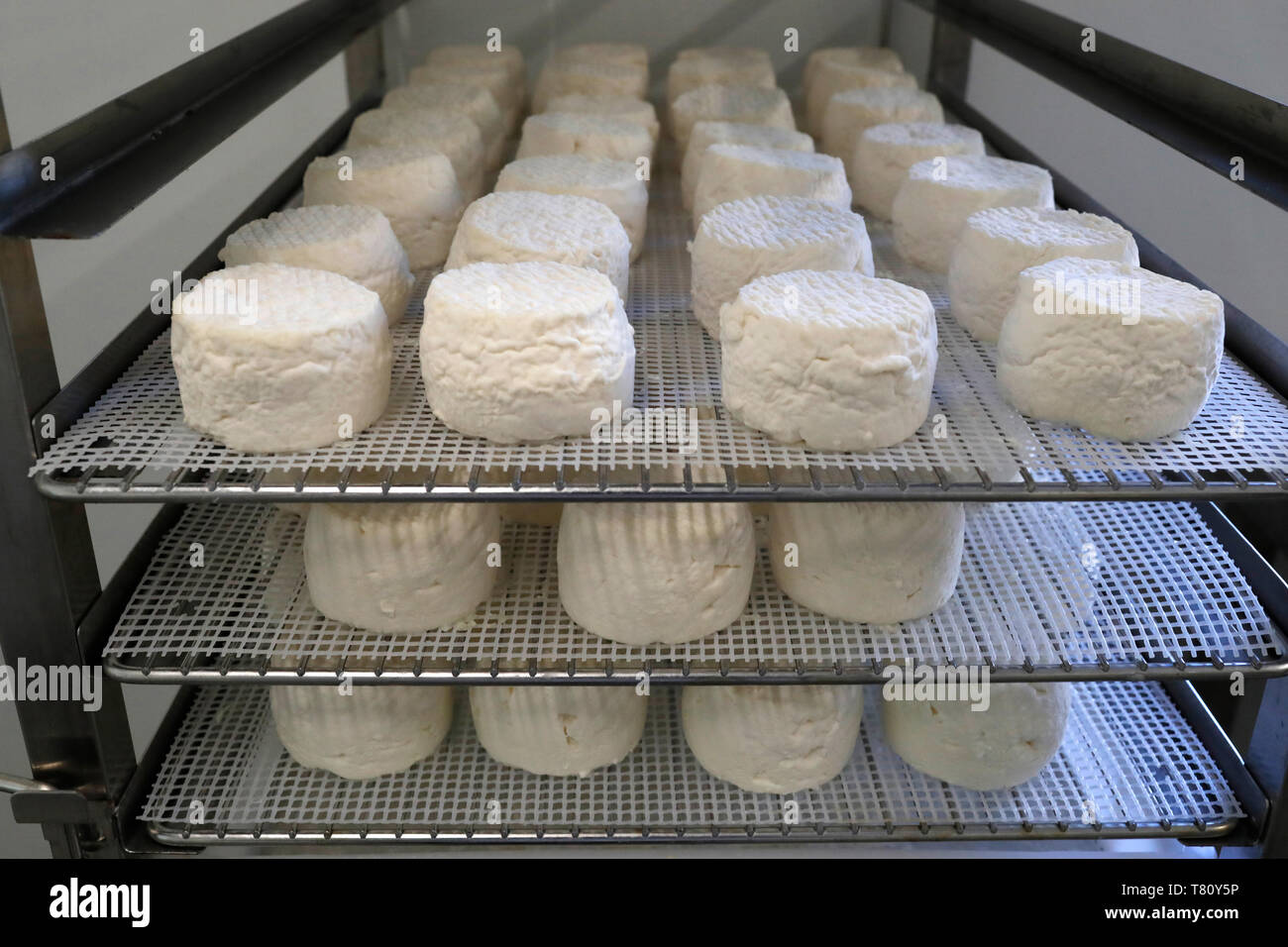 Traditional farm in the French Alps, goat cheese factory, Marignier, Haute-Savoie, France, Europe Stock Photo