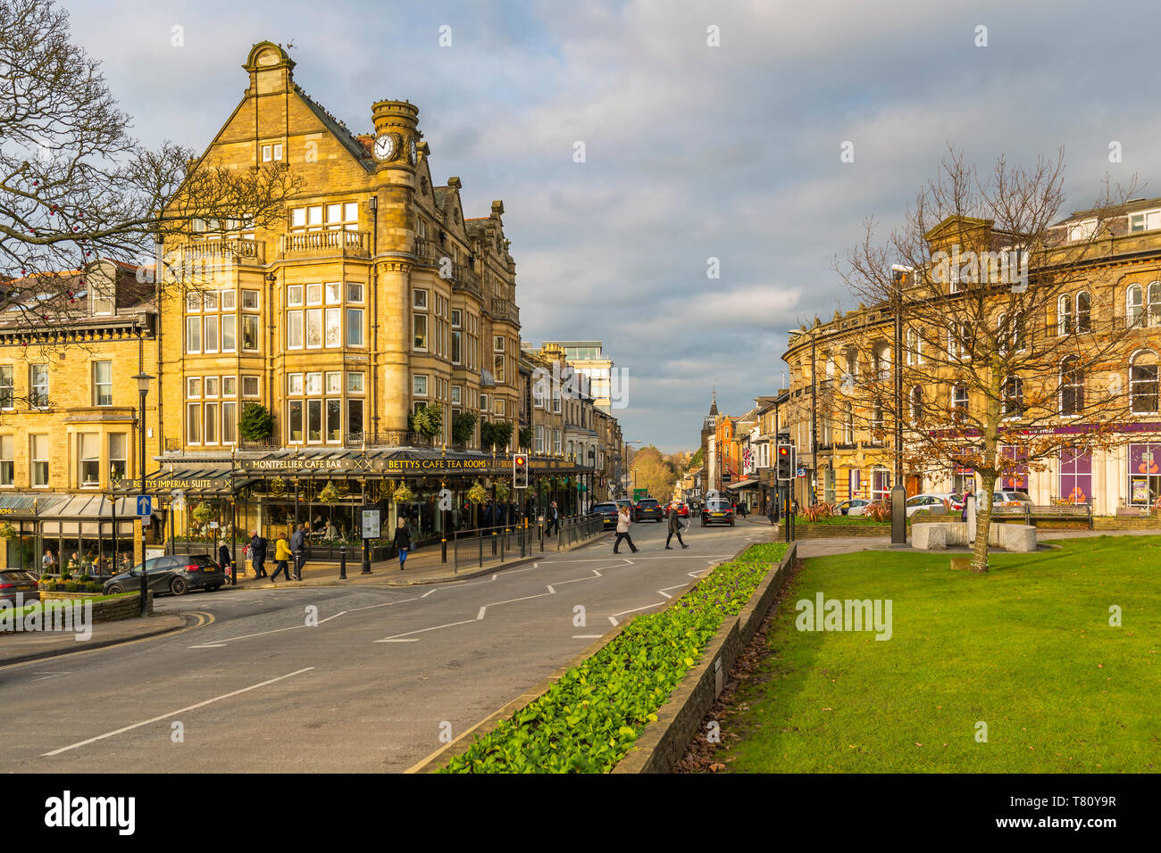 View of Parliament Street at Christmas, Harrogate, North Yorkshire, England, United Kingdom, Europe Stock Photo
