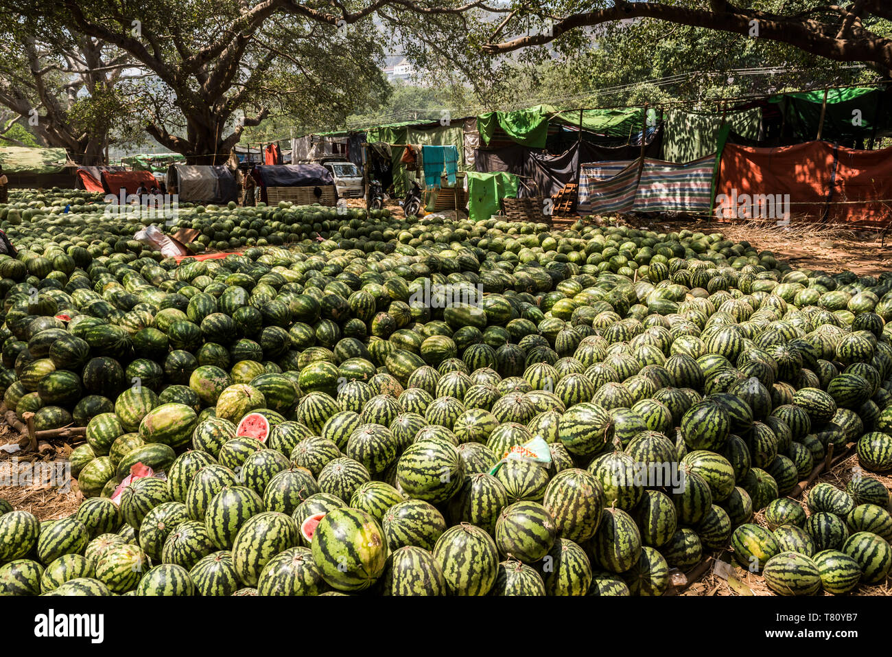 Watermelons, Pindaya, Shan State, Myanmar (Burma), Asia Stock Photo
