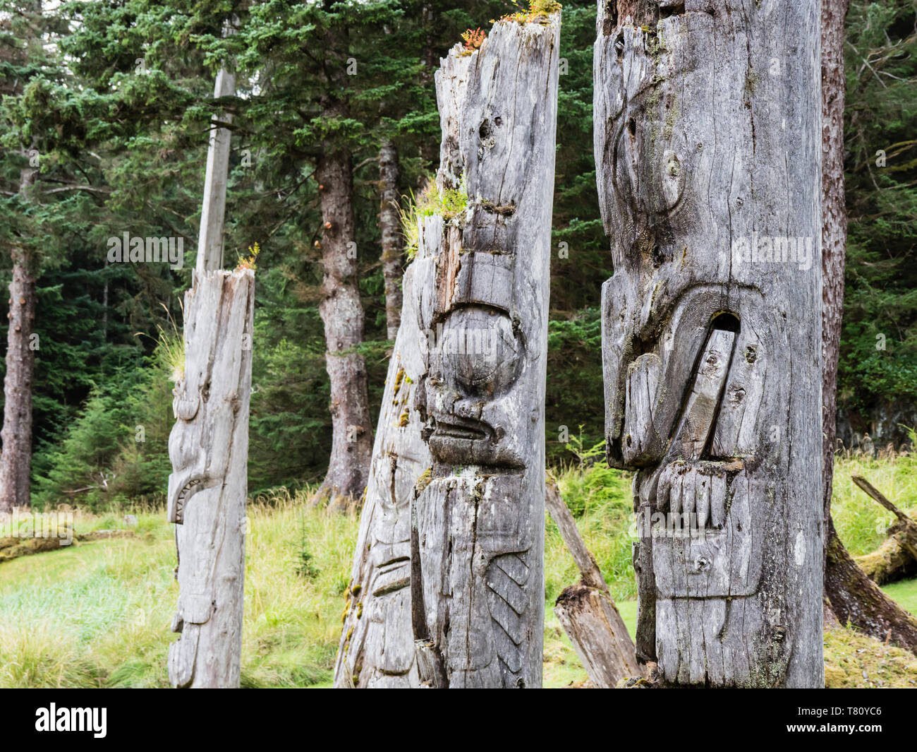 Totem poles at SGang Gwaay, UNESCO World Heritage Site, Haida Gwaii, British Columbia, Canada, North America Stock Photo