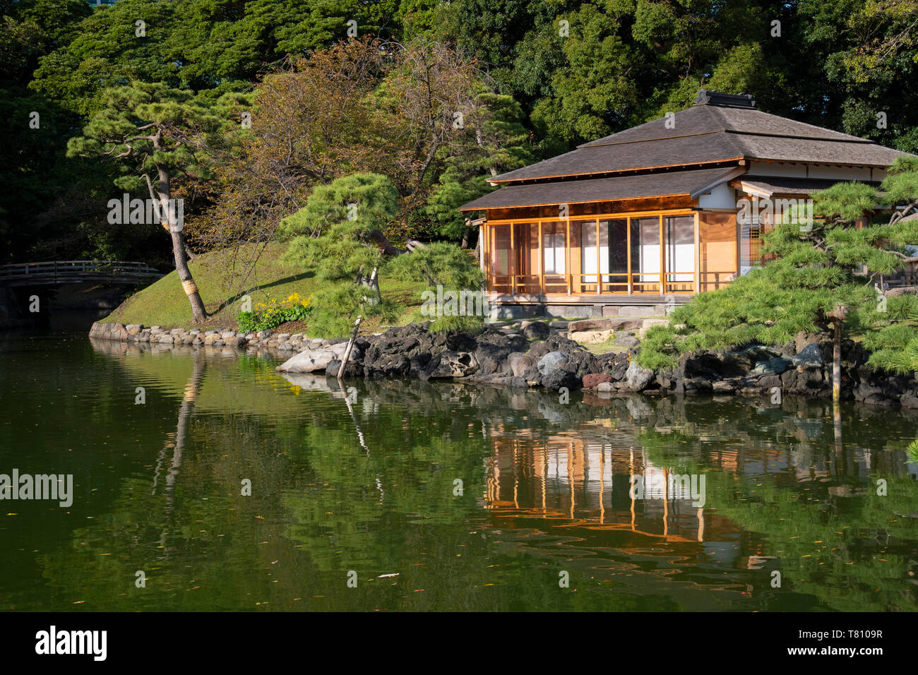 Tsubame-no-ochaya, a tea house on a lake in the Hama-rikyu Gardens, Tokyo, Honshu, Japan, Asia Stock Photo