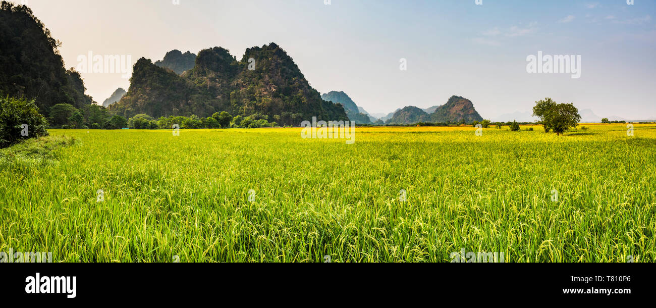 Rice paddy fields at Sadan Cave (aka Saddar Caves), Hpa An, Kayin State (Karen State), Myanmar (Burma), Asia Stock Photo