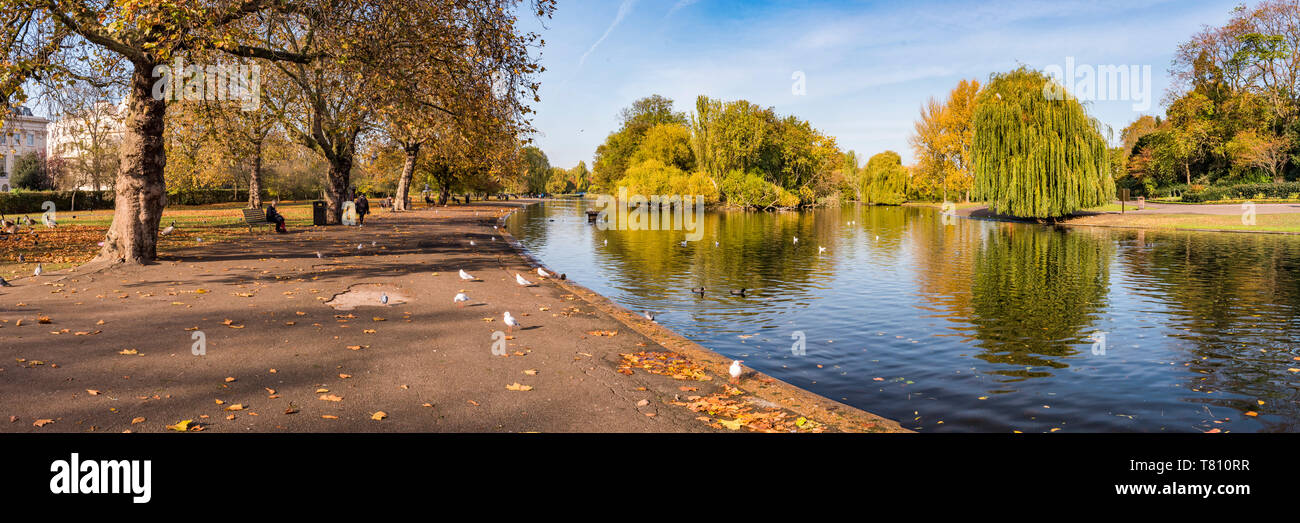 Autumn in Regents Park, one of the Royal Parks of London, England, United Kingdom, Europe Stock Photo