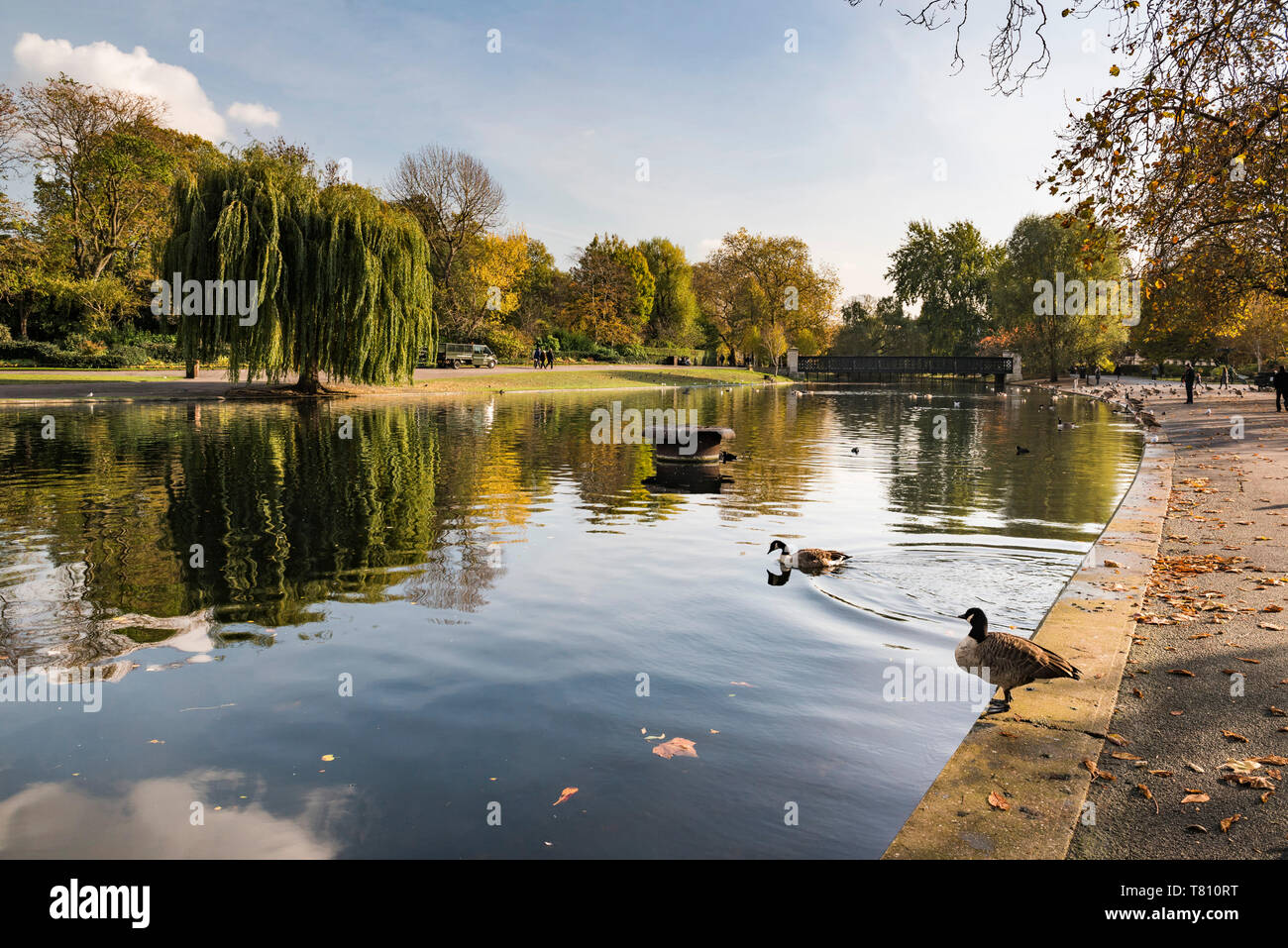 Autumn in Regents Park, one of the Royal Parks of London, England, United Kingdom, Europe Stock Photo
