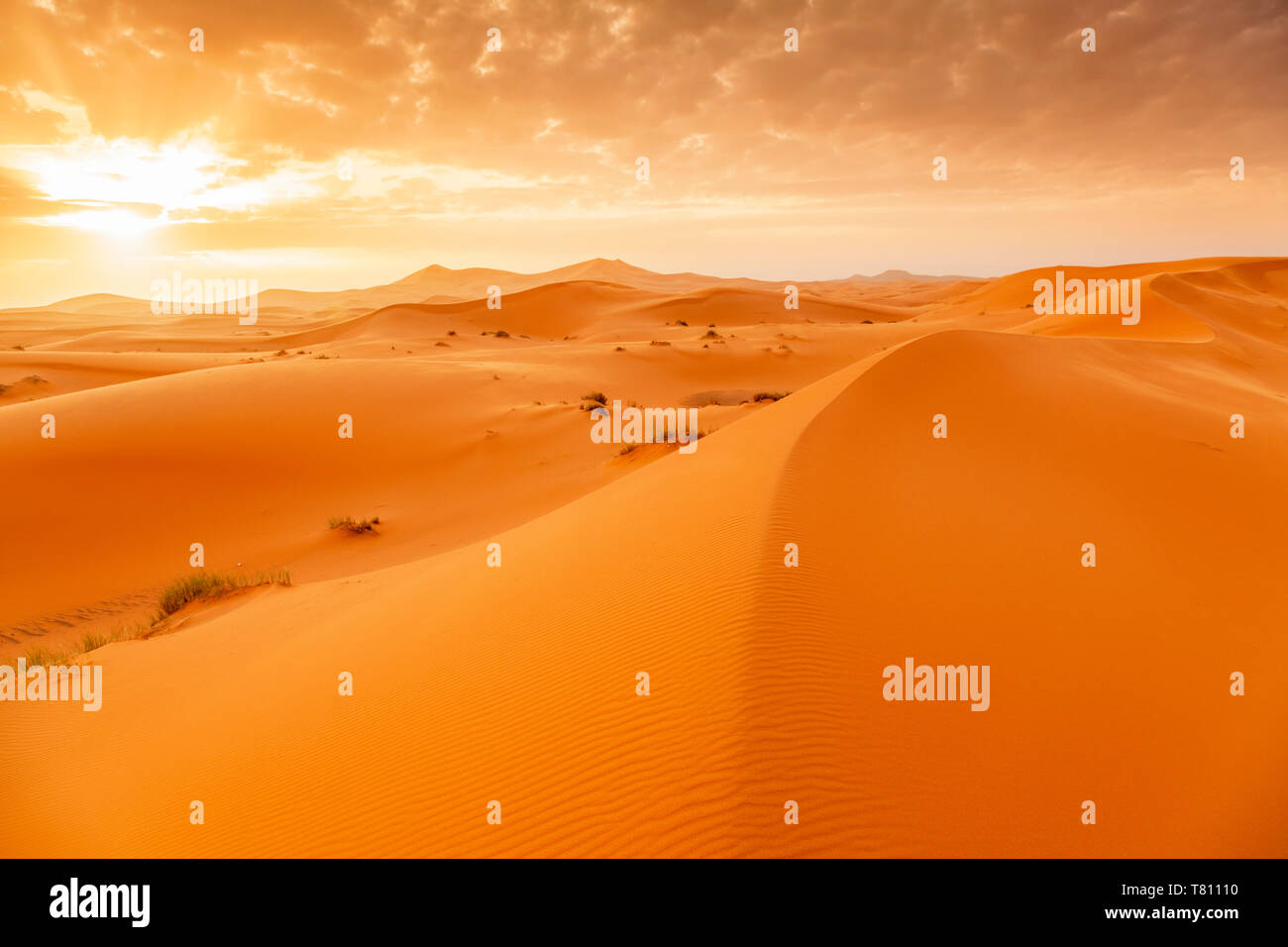 Erg Chebb at sunrise, Sahara Desert, Southern Morocco, North Africa, Africa Stock Photo
