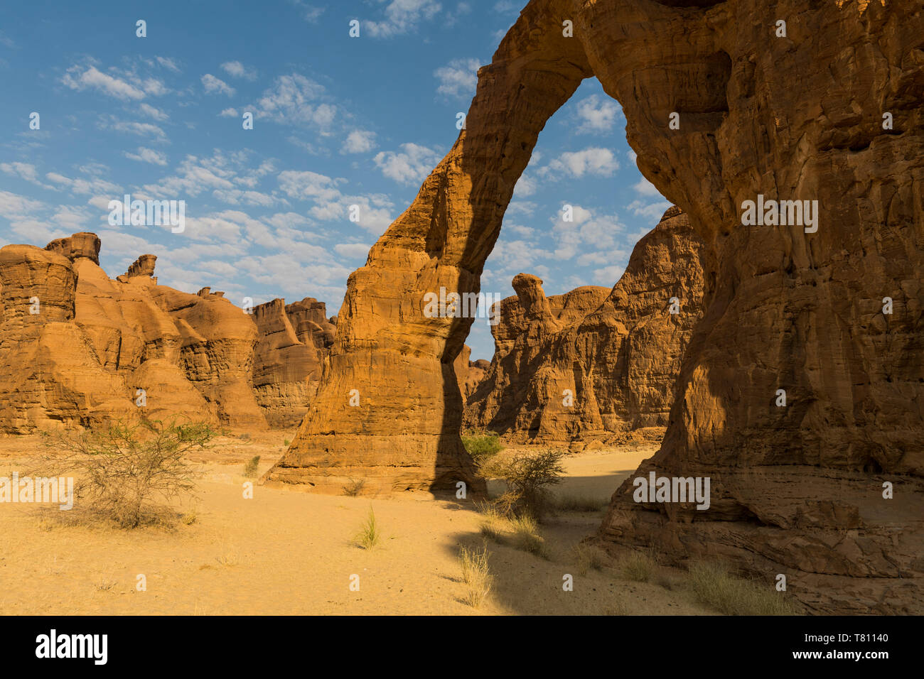 Elephant rock arch, Ennedi Plateau, UNESCO World Heritage Site, Ennedi ...