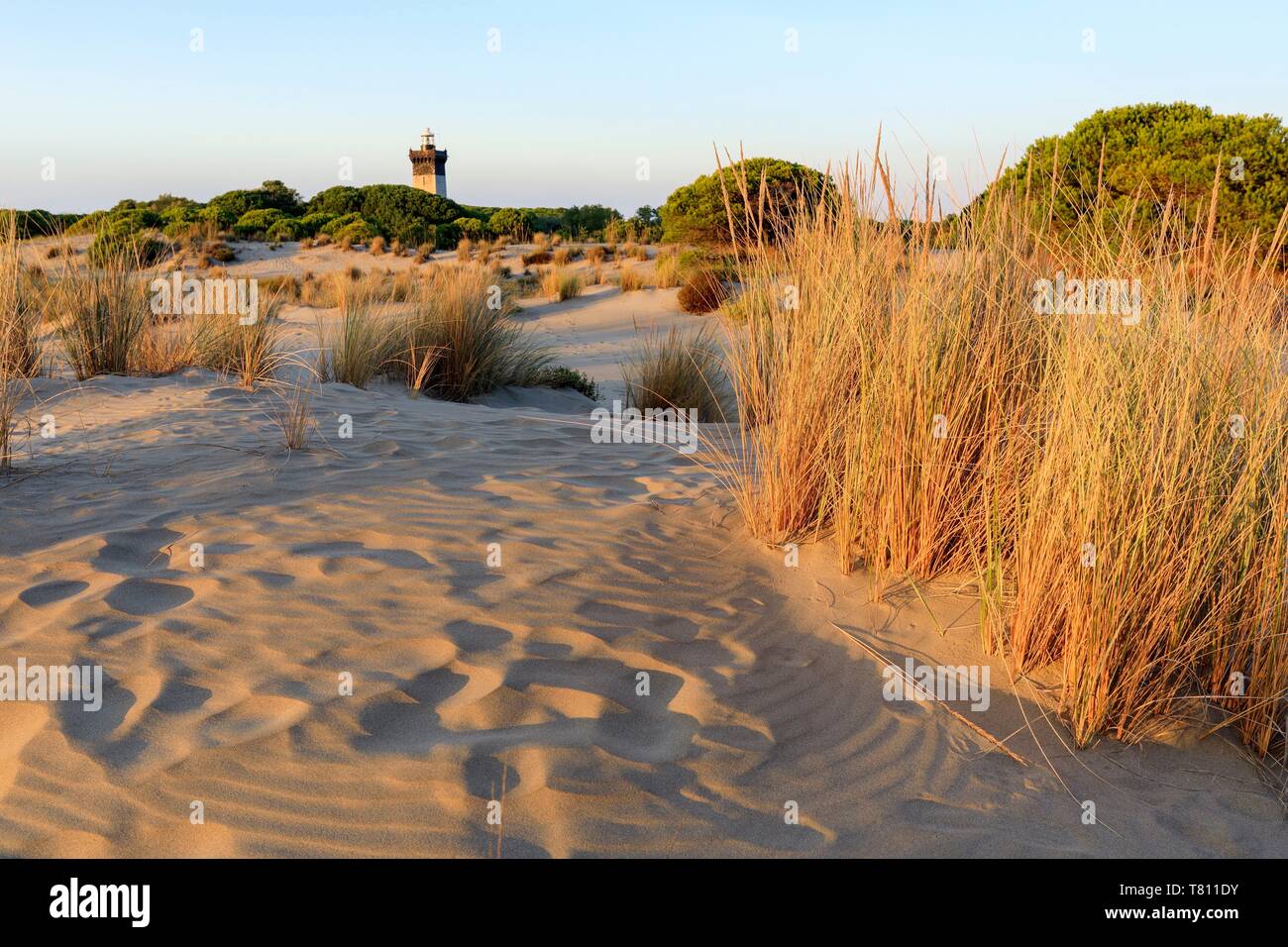 France, Gard, Le Grau du Roi, the port Stock Photo