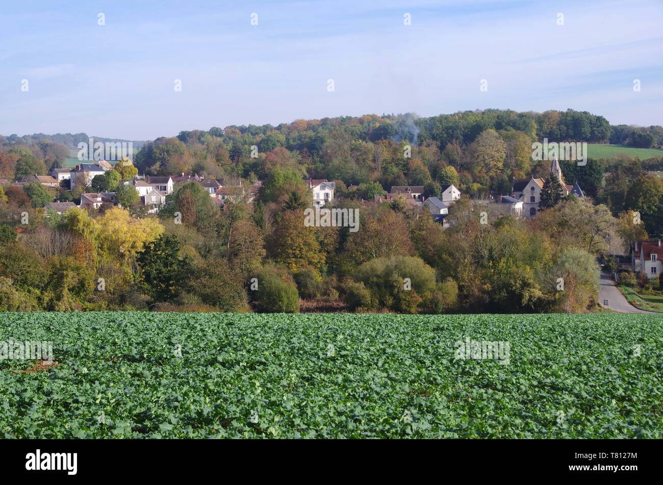 Rural nature landscape hi-res stock photography and images - Alamy