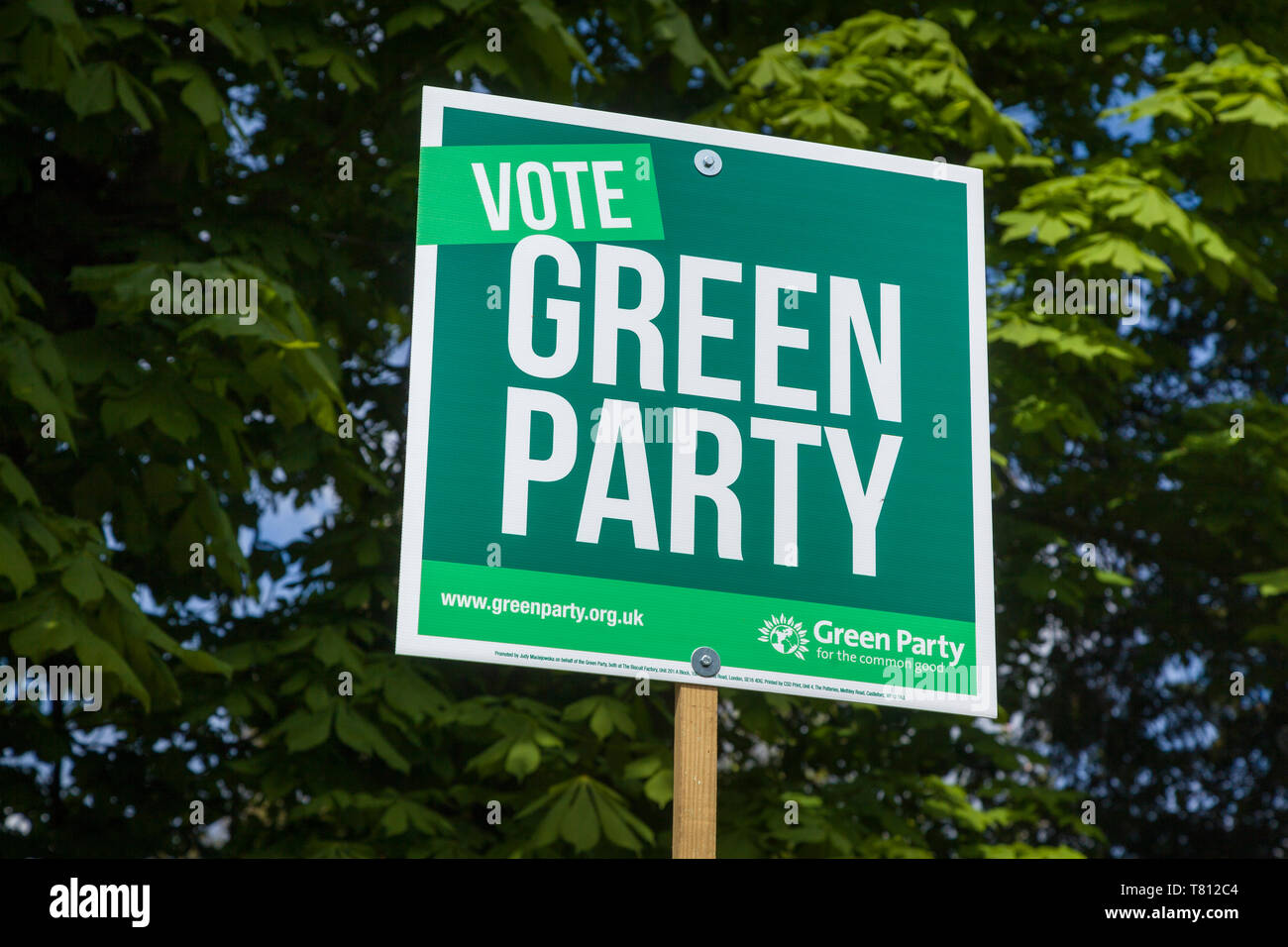 A 'Vote Green Party' poster with green Horse Chestnut leaves in the background. Stock Photo