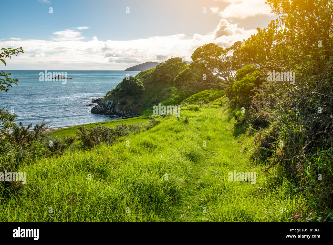 Hiking on the beautiful coast of Doubtless Bay in Northland, New Zealand Stock Photo