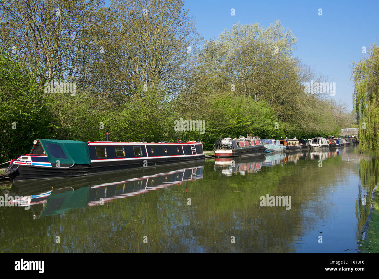 Moored canal boats Grand Union Canal Berkhamsted Hertfordshire England Stock Photo