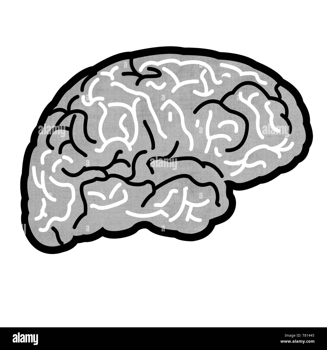 Line drawing brain side view Black and White Stock Photos & Images - Alamy