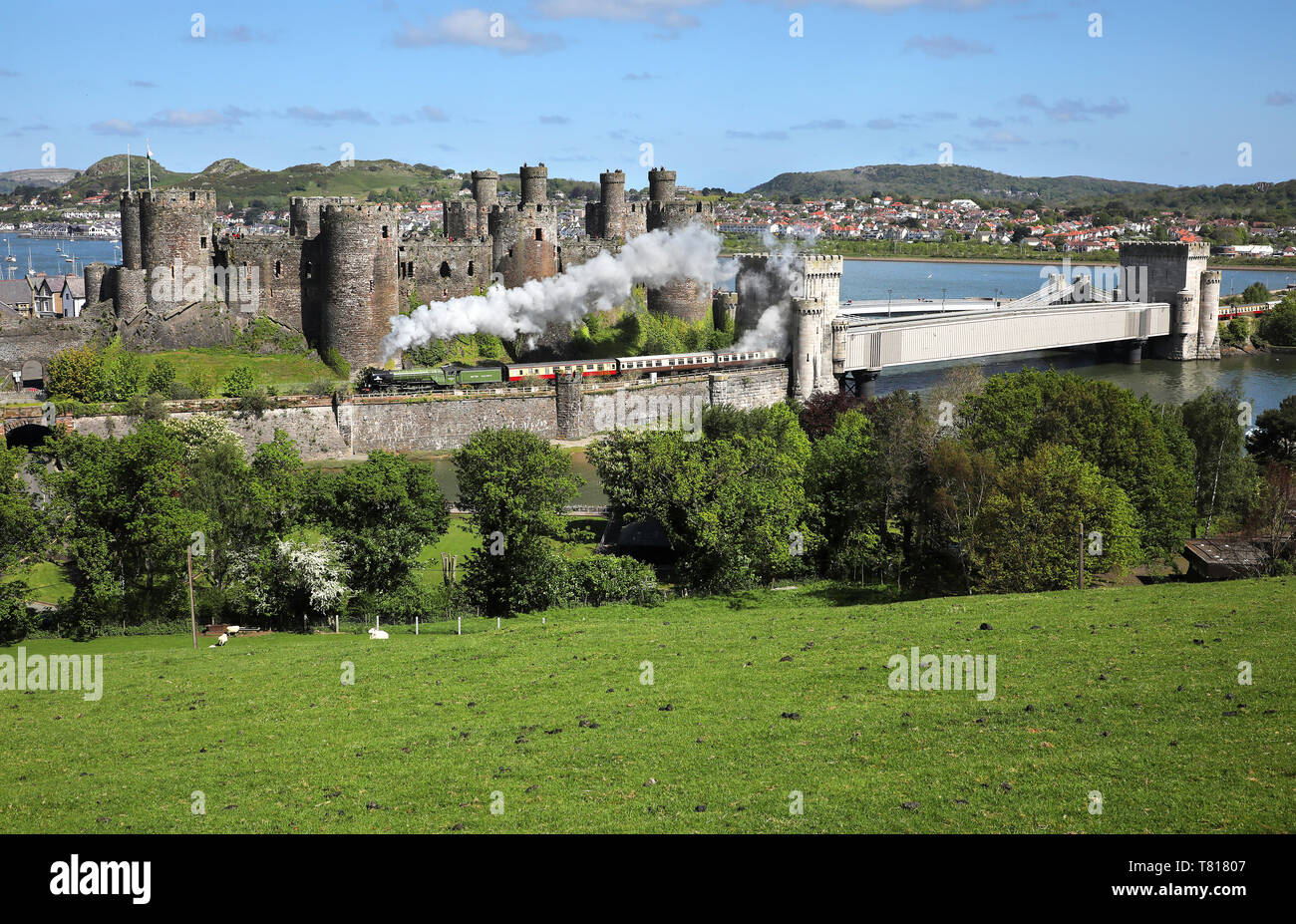 60163 Tornado heads away from Llandudno Jc and passes Conwy Castle. Stock Photo