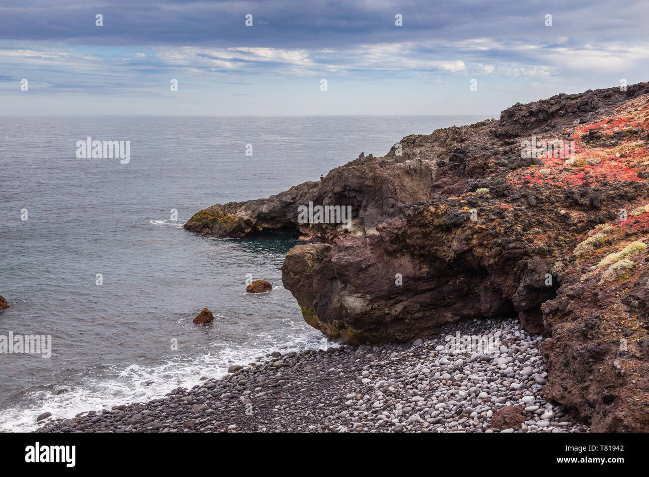Vegetation on the rocks of the Atlantic coast of Las Eras. Tenerife, Canary  Islands, Spain Stock Photo - Alamy