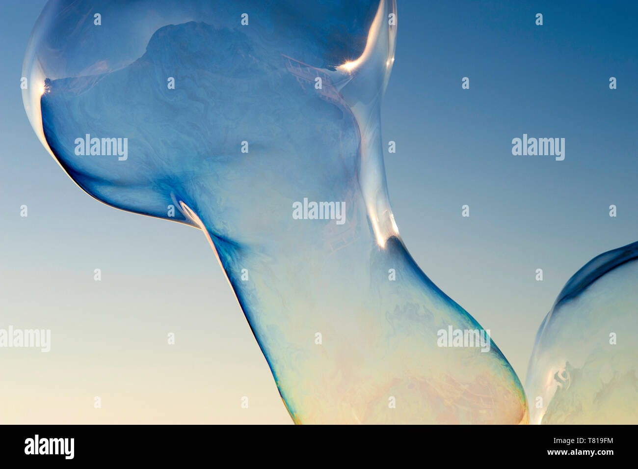 Large soap bubbles floating in blue sky Stock Photo