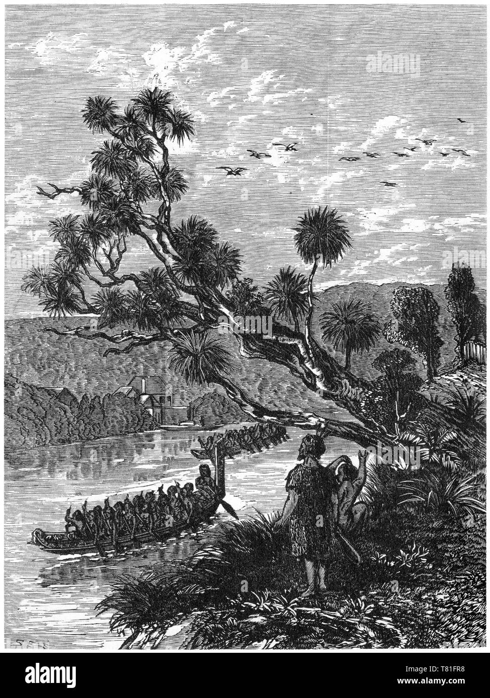 Engraving of a Maori war canoe paddling up a river in colonial New Zealand Stock Photo