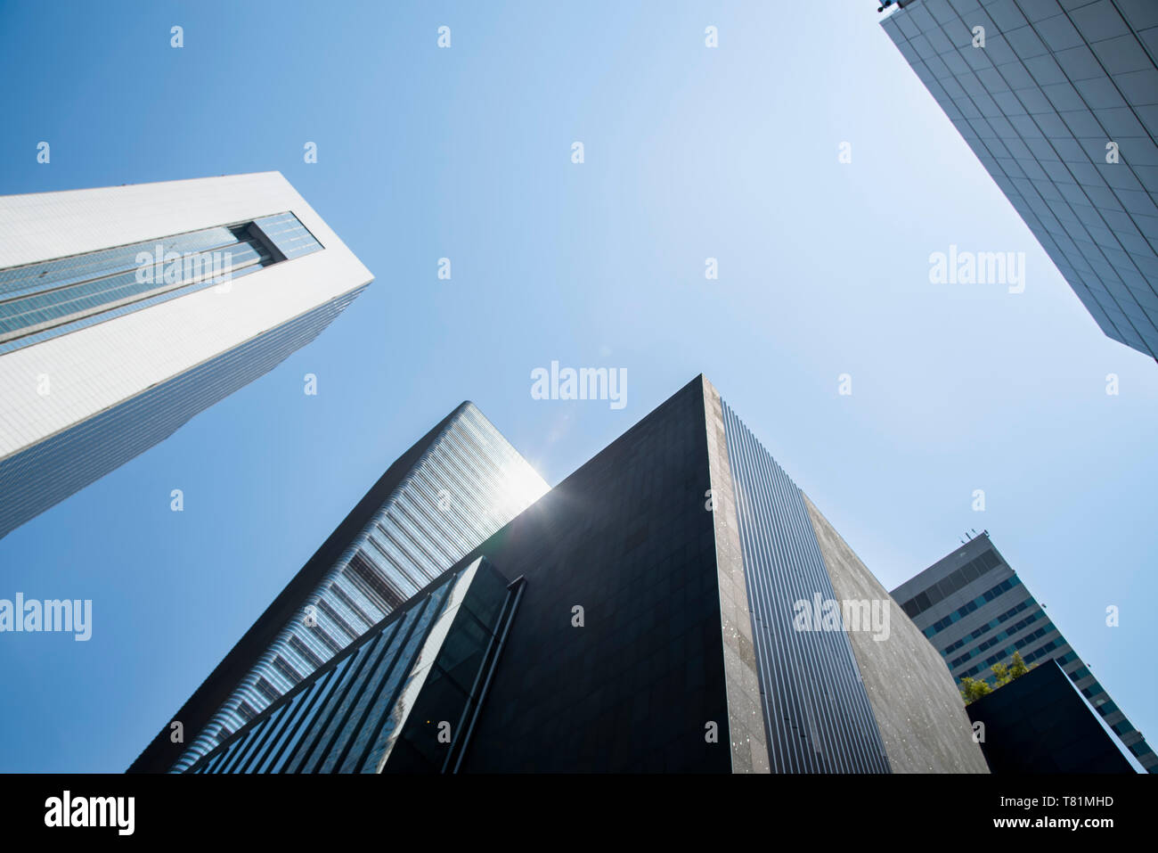 low angle view of skyscrapers in Seoul Stock Photo - Alamy