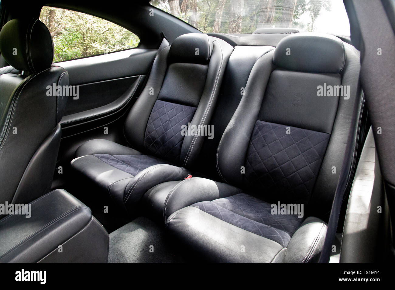 Bucket seats in the back of a fast red sports car. Made of black and dark  grey or charcoal fabric and leather. Designed for comfort and safety Stock  Photo - Alamy