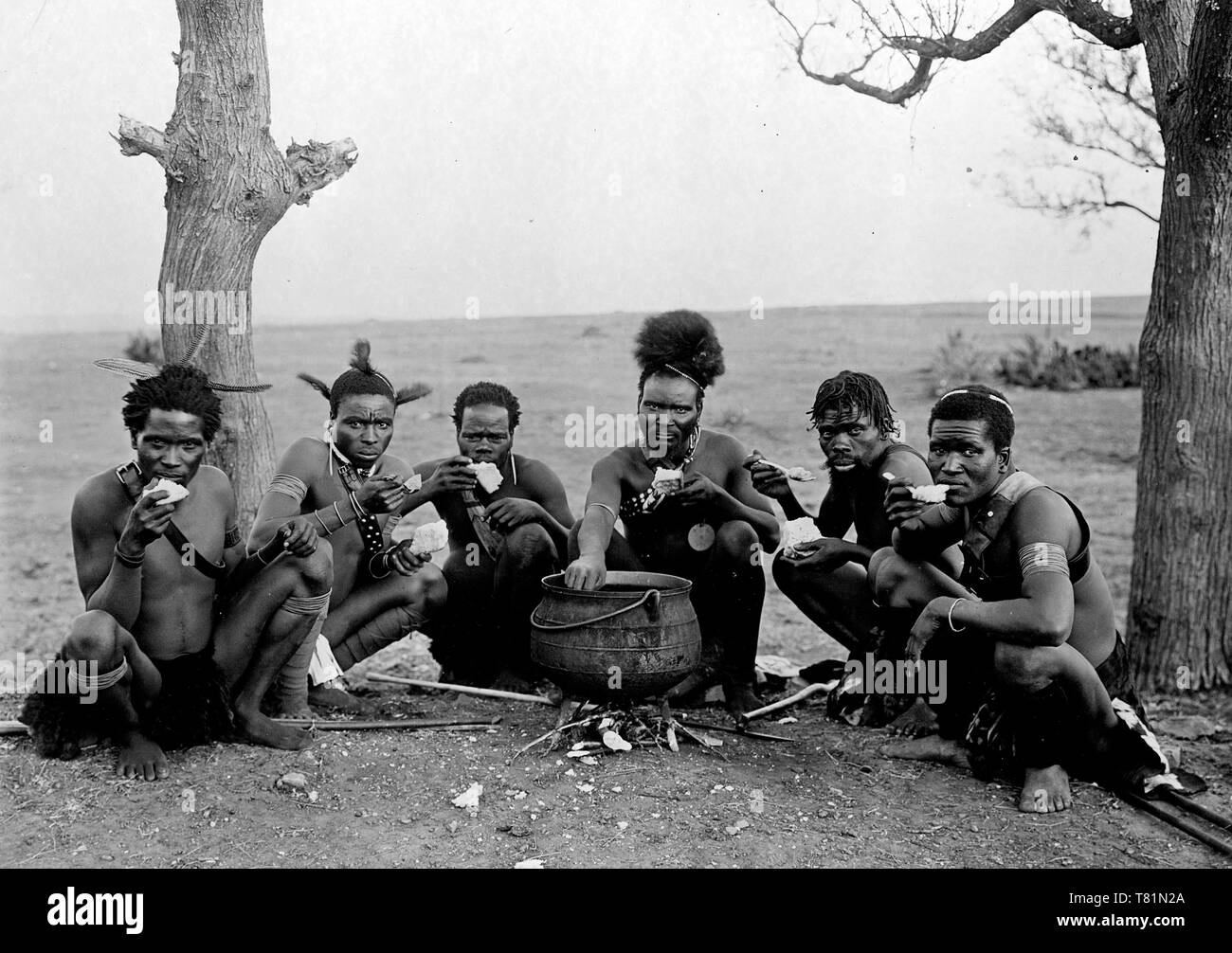 South Africa, Zulu Warriors, 20th Century Stock Photo