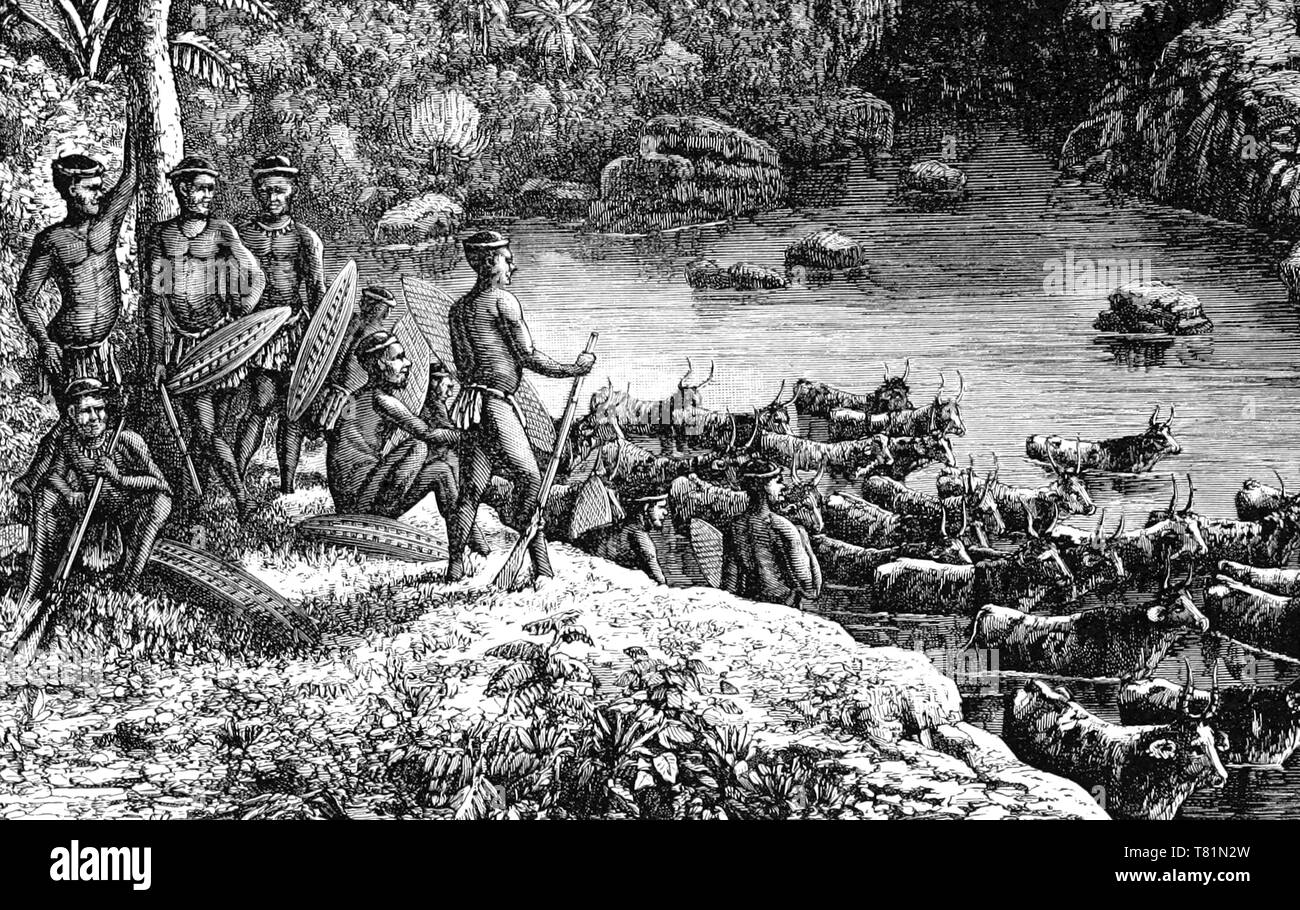 19th century zulu hires stock photography and images Alamy