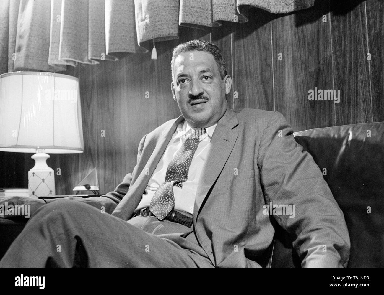 Thurgood Marshall American Lawyer Stock Photo 245901203 - 