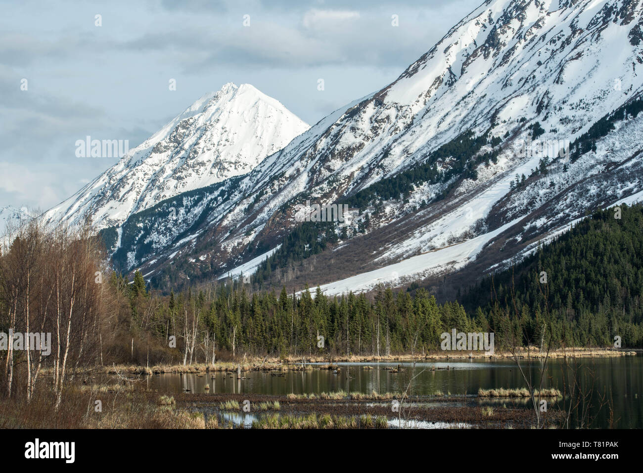 Majestic Mountain Landscapes from Southern Alaska Stock Photo