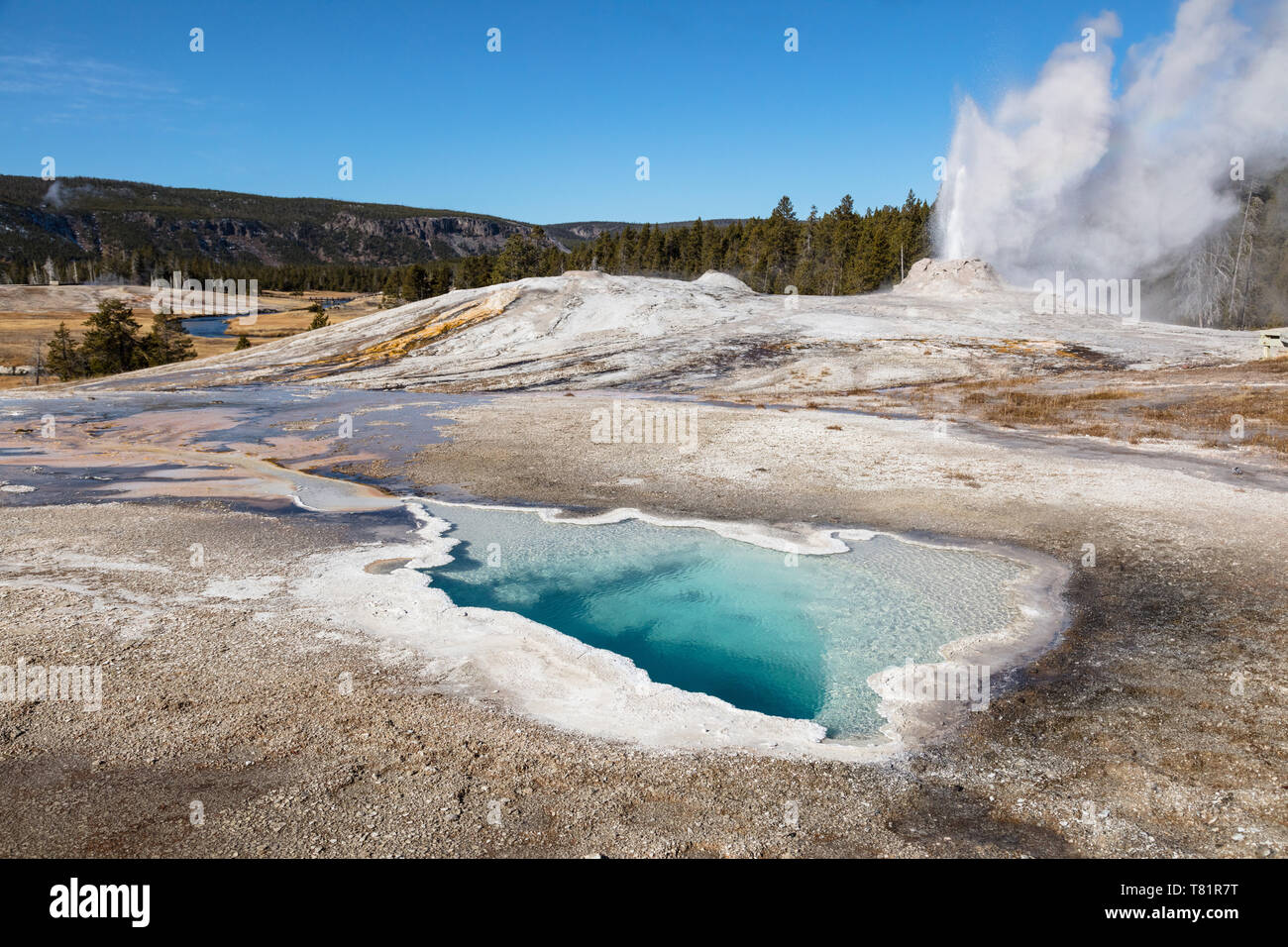 Lion Geyser and Heart Spring Stock Photo