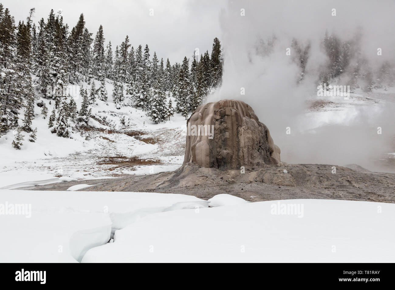 Lone star geyser basin hi-res stock photography and images - Alamy