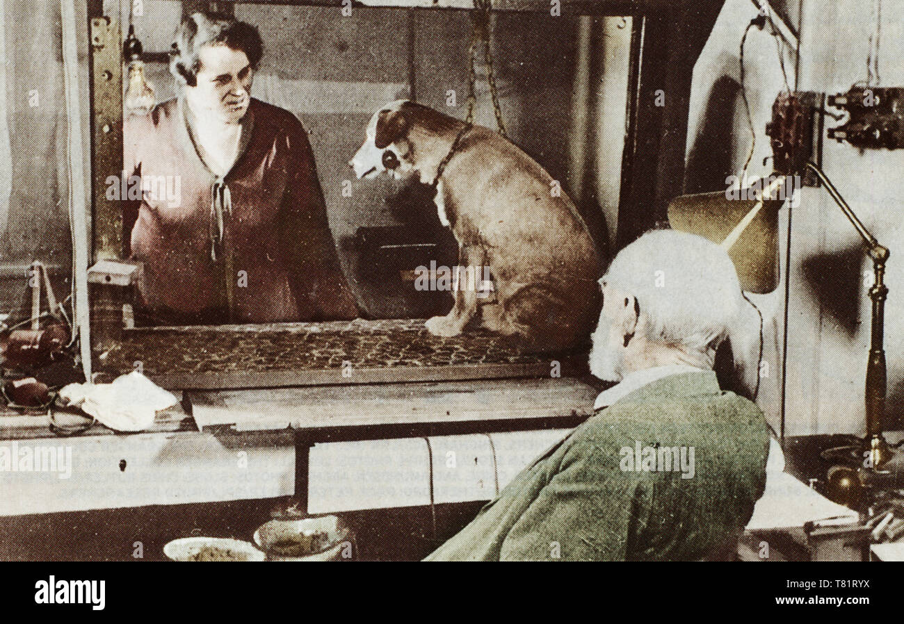 Pavlov and Dog Stock Photo