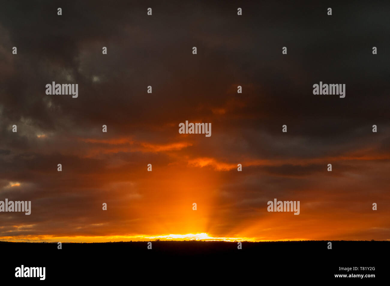 Colourful sunset in Australia's outback. Stock Photo