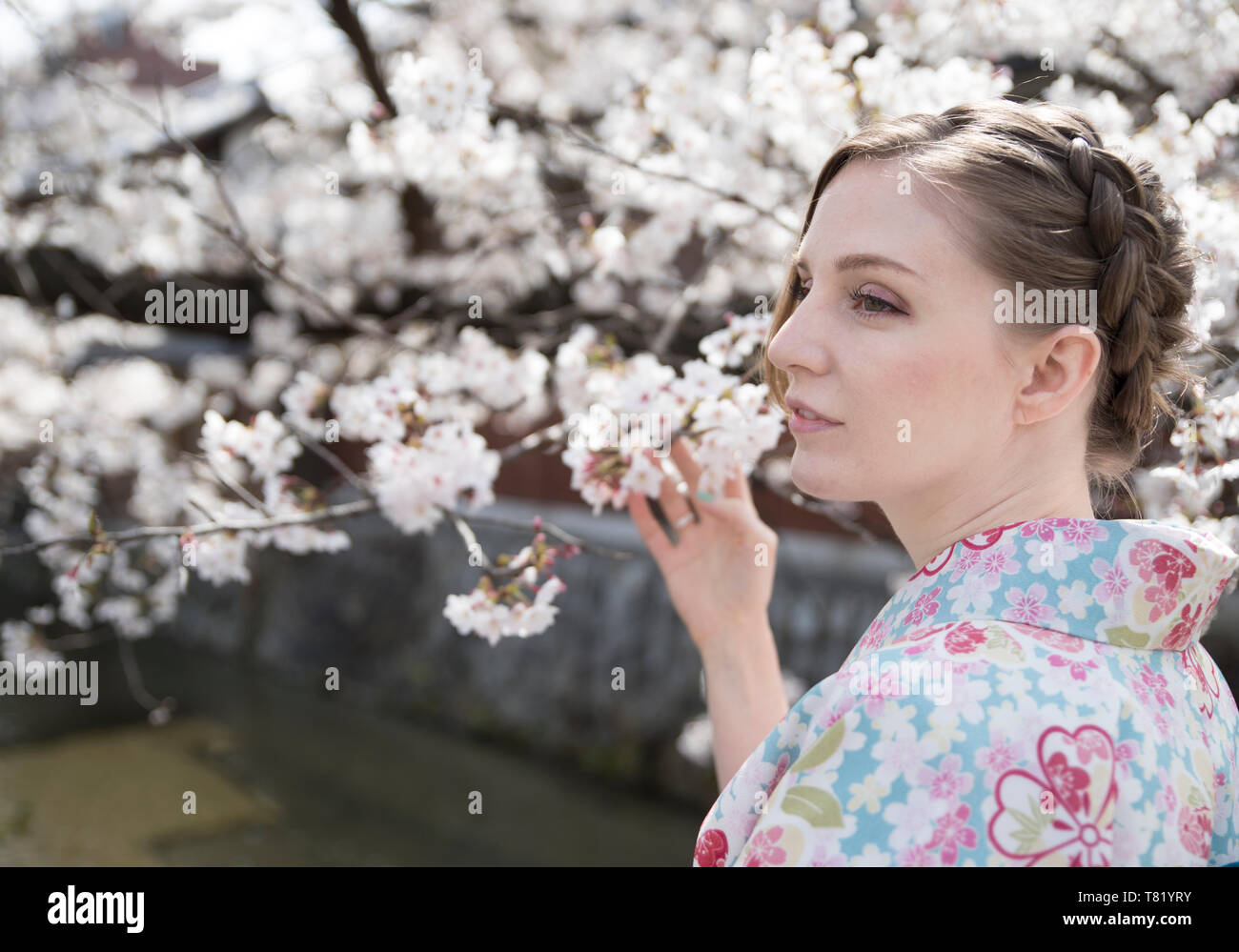 Cherry blossoms in Gion Kyoto Stock Photo